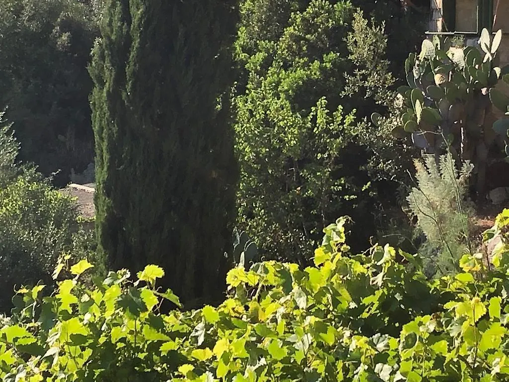 Κάμπινγκ Vistalago Garden Doria Monteleone Rocca Doria Ιταλία